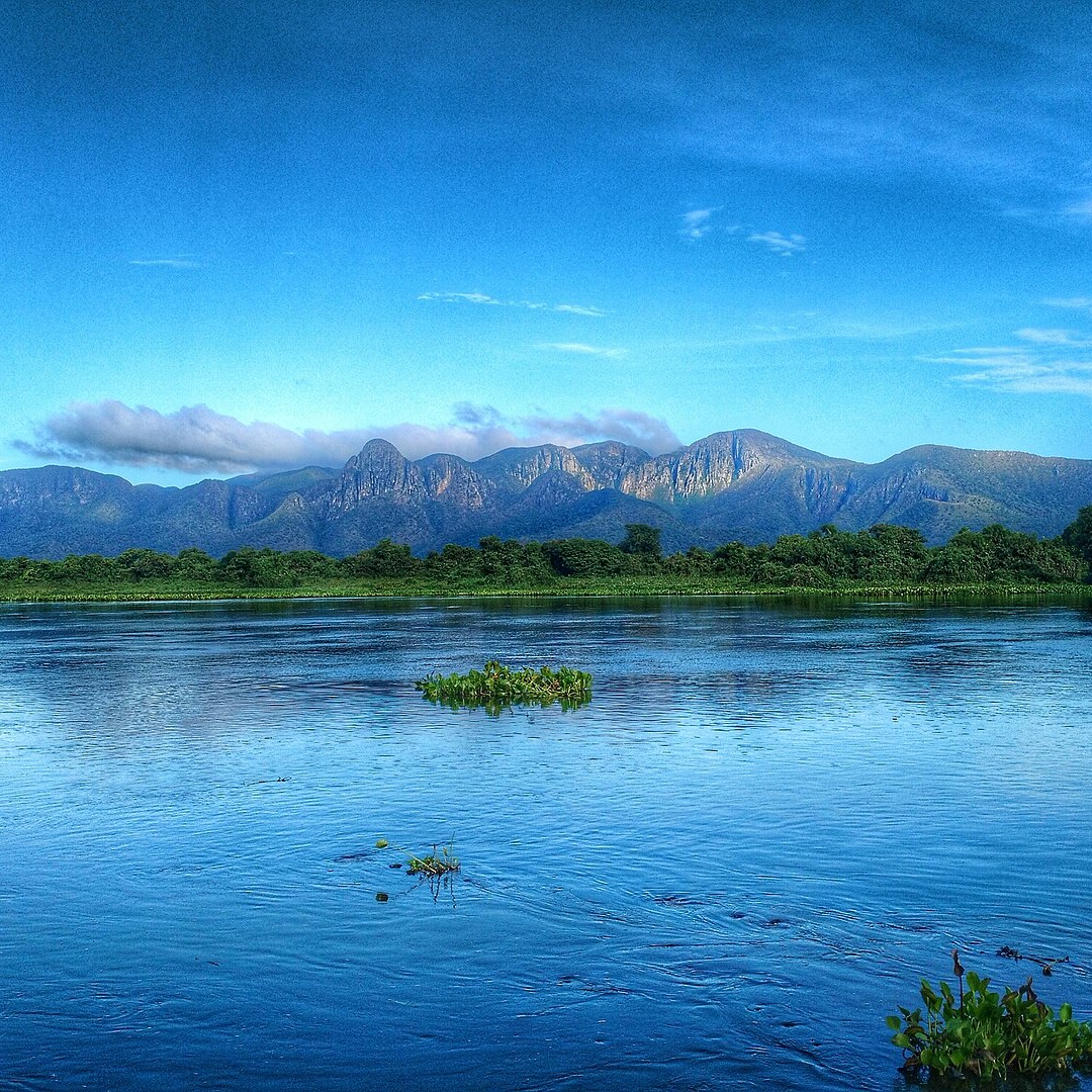 	Mato Grosso	